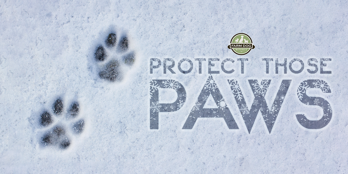 winter paw protection