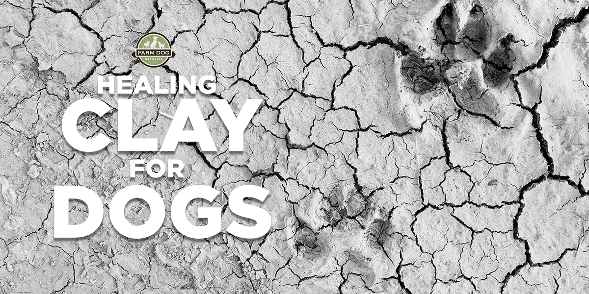 Clay for Dogs